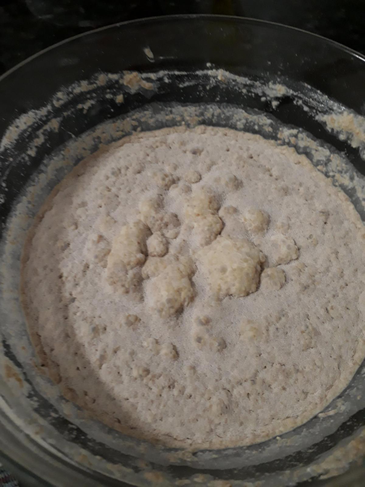 Help, moldy starter on day 9 The Fresh Loaf